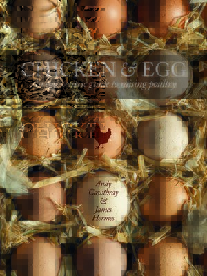 cover image of Chicken & Egg